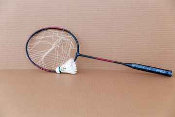 Shuttlecock and broken badminton racket