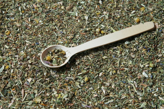 Wooden spoon and various herbs in a herbalist