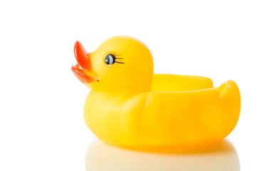 Yellow rubber duck isolate