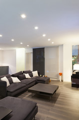 Interior, wide living room