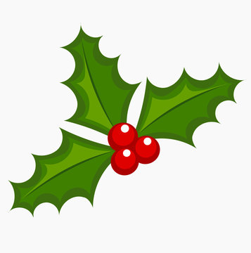 Holly berry vector