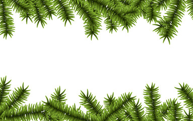Christmas background with spruce branches.