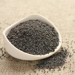 Poppy seeds in white ceramic bowl on sackcloth background