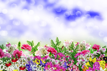 Fototapeta premium floral background