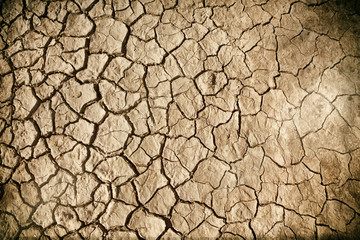 Cracked Earth Grunge Background