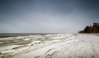 Winter shore landscape