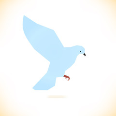 Vector isolated bird. Pigeon, dove