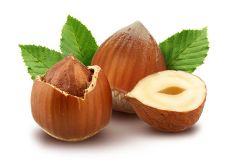 Hazelnut group