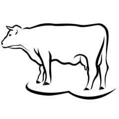 Cow sketch