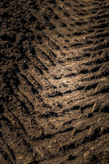 Tire track
