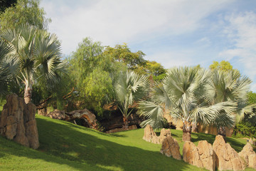 Bioparc Valencia. Spain