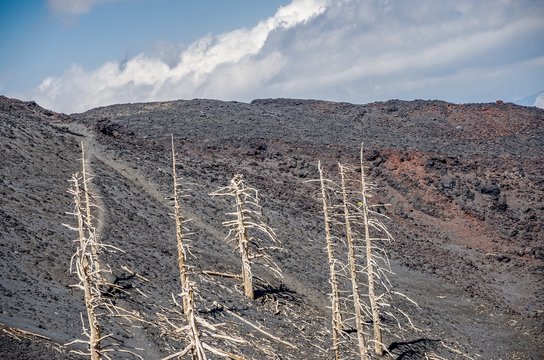 Landscapes of Etna, Sicily ,Italy.