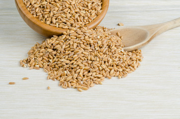 spelt with spoon, close up