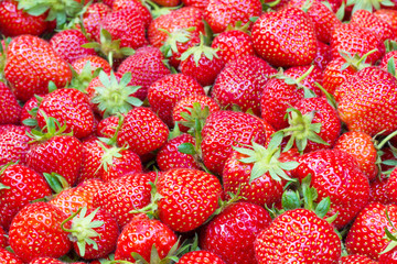 Strawberry texture - filled frame