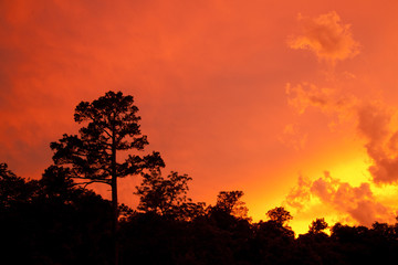 Fototapeta premium Sunrise