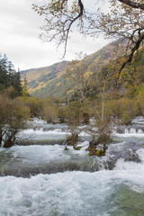 Obraz premium water stream in nation park