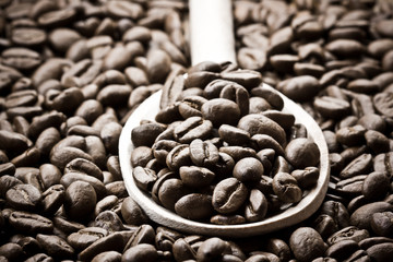 Coffee seeds on wooden spoon. 