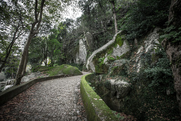 Fototapeta na wymiar Cobblestone road to the palace foam among the rocks and trees
