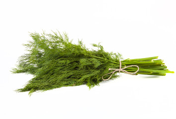 bunch of dill tied up twine on a white background