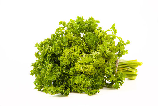 bunch of parsley tied up twine on a white background