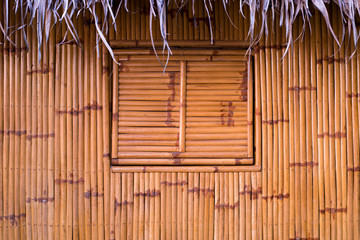 bamboo and window background