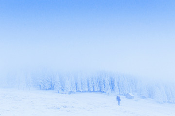 fog in the mountains