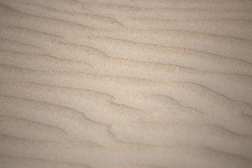 Fototapeta na wymiar sand in nature as background