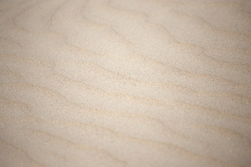 Fototapeta na wymiar sand in nature as background
