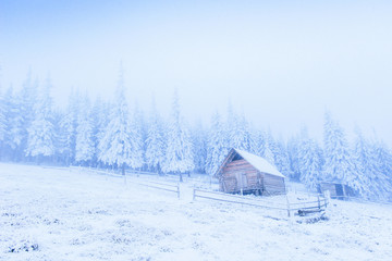 Idyllic cottage in winter