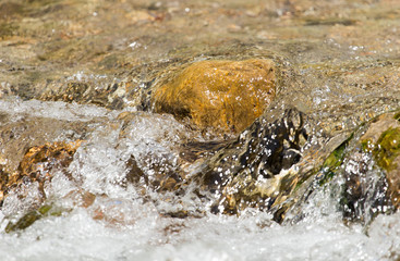 Stones in the water in a river