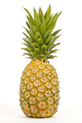 Fototapeta premium Lone Pineapple