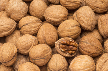 Walnüsse mit einer geönneten Nuss