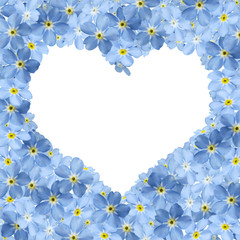 forgetmenot heart and white background