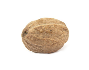 nutmeg isolated