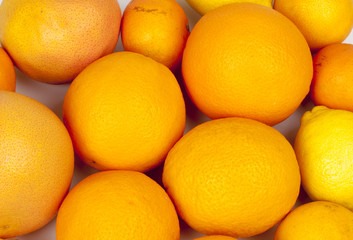 Citrus fruit background