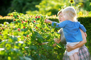 Grandmother and her baby girl picking raspberries