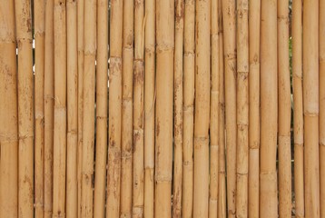 Dried bamboo sticks - background