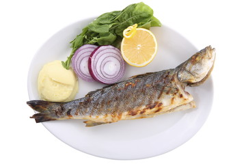 perch/fish/food