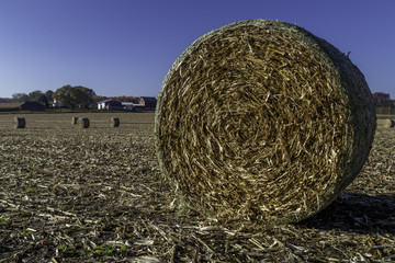 Hay Bale