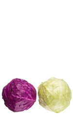Whole red and green cabbage over white background