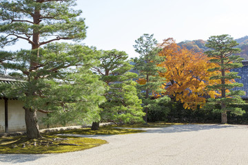 世界遺産京都天龍寺の庭園