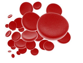 Red blodd cells
