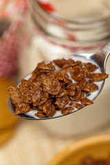 Gluten free chocolate crispy rice cereal. Selective focus.
