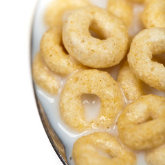 A spoon of corn flakes rings. Macro. Selective focus.