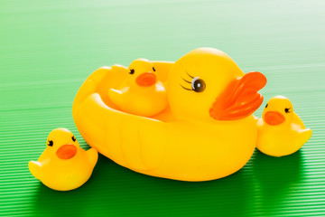 closeup duck toy