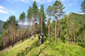 Fototapeta premium Climbing Mount Krestovka village Uznezya
