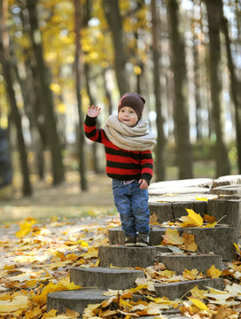 The charming kid plays among autumn gold foliage