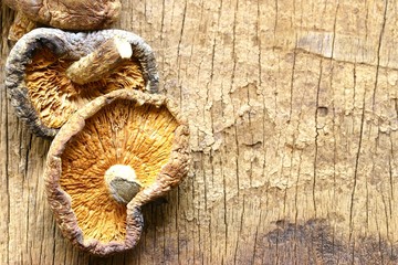 Shiitake on wooden table