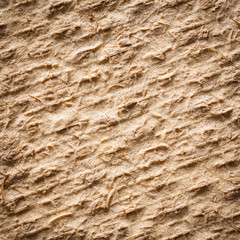 Coconut fiber mat back