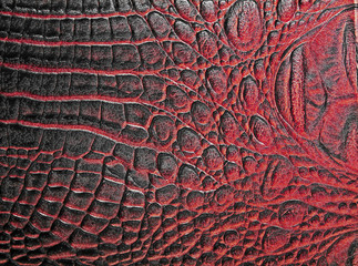 Alligator patterned background